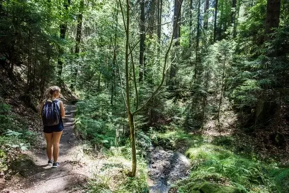 Wandern Malerweg Etappe 3