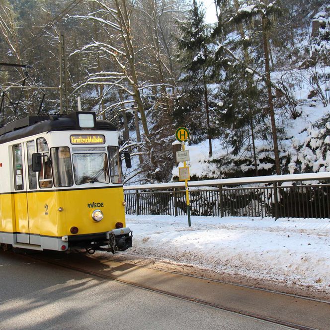 Gelber Straßenbahnwagen fährt auf einer schneebedeckten Straße, umgeben von Bäumen.