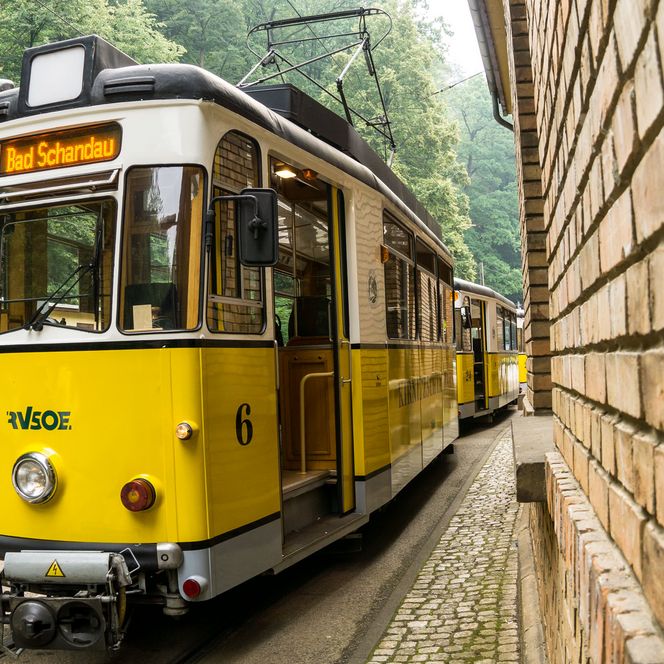Kirnitzschtalbahn an einer Haltestelle, mit Backsteinmauer im Hintergrund.