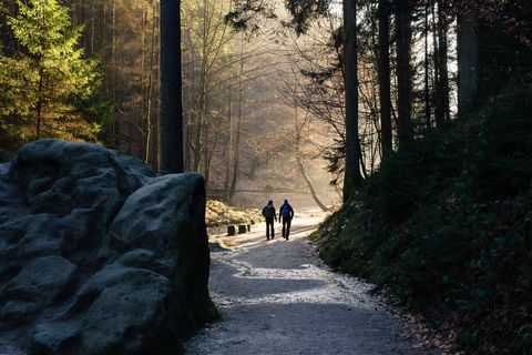Zwei Personen gehen auf einem Waldweg, umgeben von Bäumen und sanftem Licht.