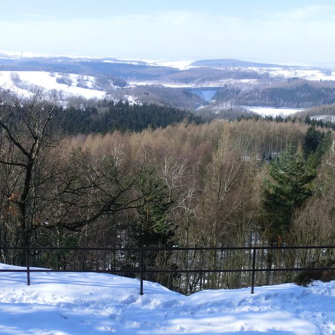 Schneebedeckte Landschaft mit Bäumen und einem weiten Blick auf Hügel und Täler im Hintergrund.