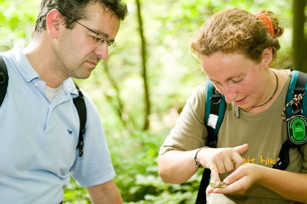 Geführte Wanderung mit Andrack und Daphne