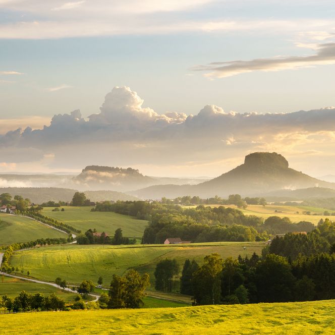 Grüne Landschaft mit sanften Hügeln und Wolken am Himmel, sanftes Licht bei Sonnenaufgang.