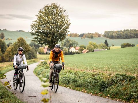 Radfahrer, radfahrerin, Baum und schmale Straße, im Hintergrund Wald und grüne Wiese