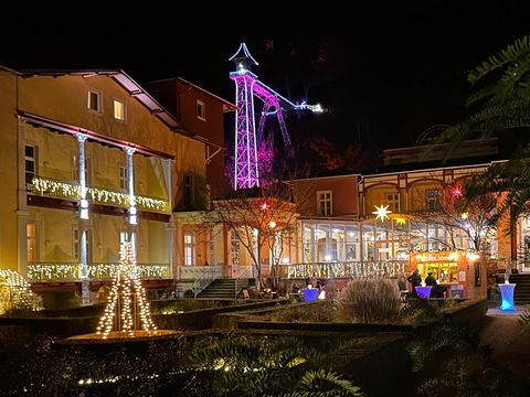 Parkhotel Bad Schandau "Park der Lichter"
