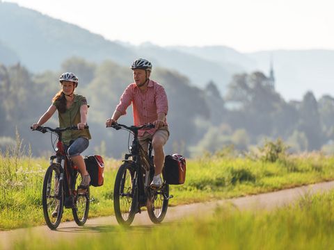 Radweg neben der Elbe, grüne Bäume, Fahrradfahrer, blauer Himmel, Berge im Hintergrund.