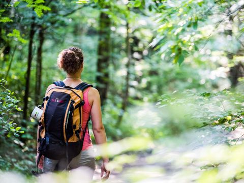 Wandern im Wald auf Malerweg Etappe 1