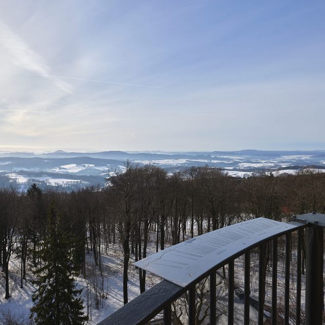 Schneebedeckte Landschaft mit Bäumen, Blick vom Ungerberg auf eine weite, verschneite Ebene unter einem klaren Himmel.