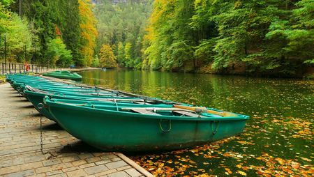 Grüne Boote liegen an einem ruhigen, von Bäumen gesäumten Gewässer. Herbstblätter schwimmen auf der Oberfläche.