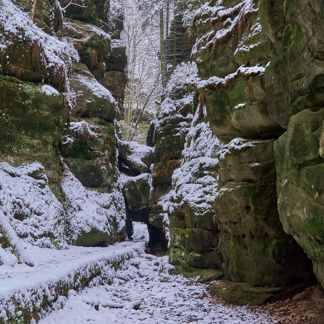 Schneebedeckte Felsen und ein schmaler Weg zwischen hohen, moosbewachsenen Steinen.