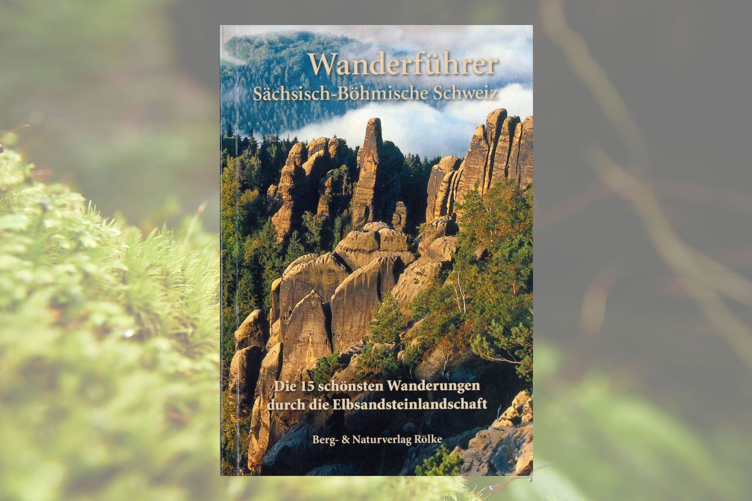 Titelseite Wanderführer Die 15 schönsten Wanderungen in der Sächsisch-Böhmischen Schweiz Wanderführer Titelseite mit Foto von Berglandschaft mit schroffen Felsen und wolkigem Himmel.