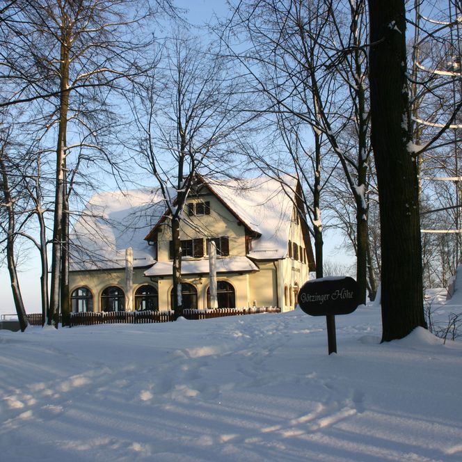 Schneebedecktes Haus umgeben von Bäumen, blauer Himmel im Hintergrund.