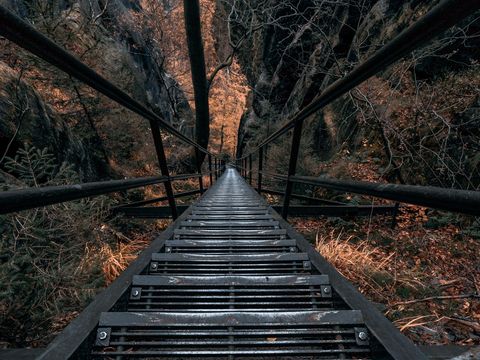 Kirnitzschtal Treppen im Herbstwald, moosbedeckte Felsen, goldenes Laub.
