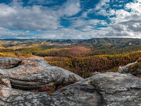 Waldlandschaft, Sandsteinfelsen und wolkigem Himmel im Elbsandsteingebirge.