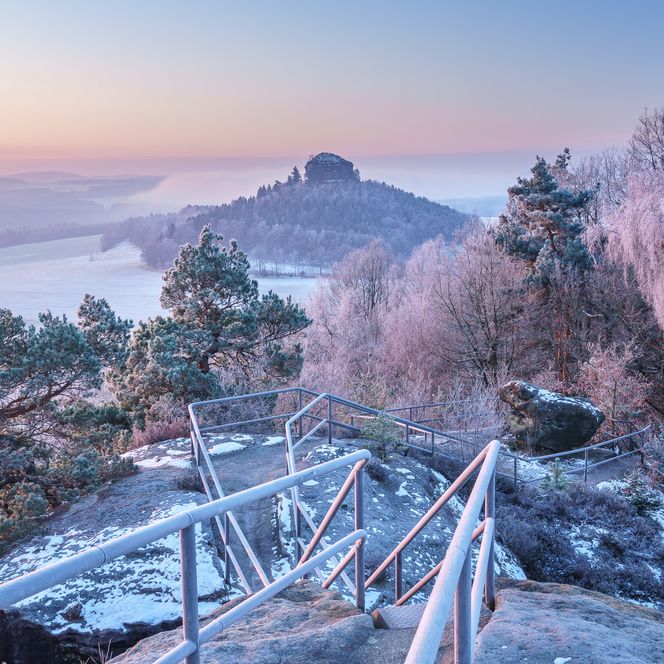 Schneebedeckte Landschaft mit Bäumen und einem Hügel im Hintergrund, sanftes Licht am Morgen.