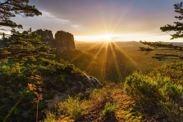 Sonnenaufgang über einer bewaldeten Landschaft mit Felsen im Hintergrund und strahlendem Licht.