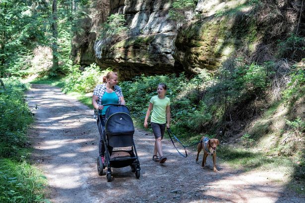 Wandern mit Kinderwagen