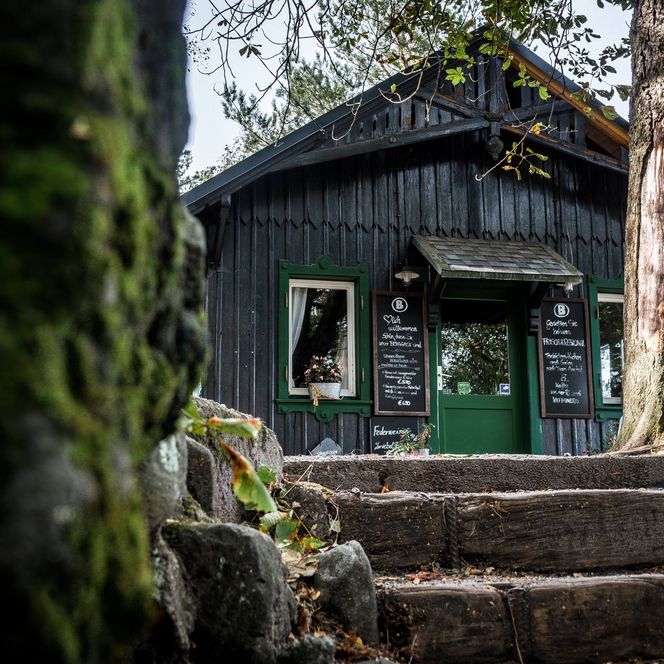 Schwarzes Holzhaus mit grüner Tür, umgeben von Bäumen und Steinen, im Hintergrund eine helle Lichtstimmung.