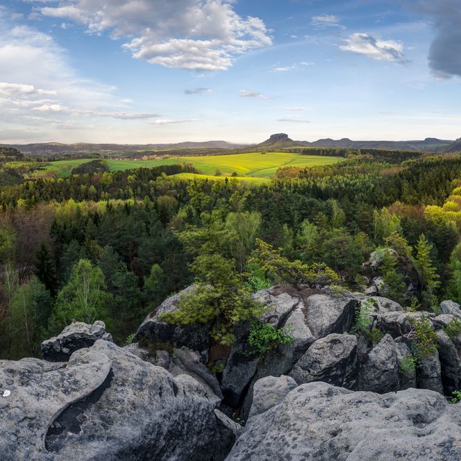 Blick auf eine grüne Landschaft in Struppen mit Bäumen und einem klaren Himmel, Felsen Großer Bärenstein im Vordergrund.