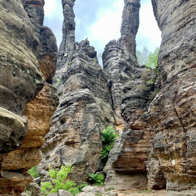 Drei hohe, schmale Felsen ragen zwischen steilen Wänden aus Sandstein in den Himmel.