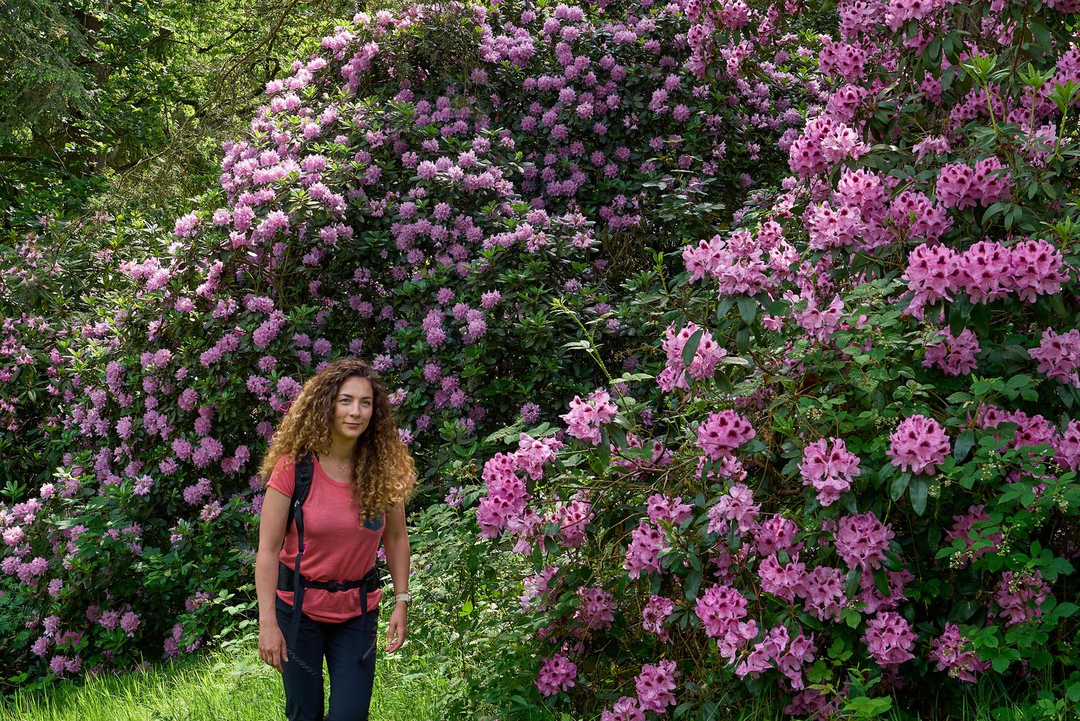 Frau mit langen, lockigen Haaren steht vor blühenden, lila Rhododendronsträuchern.