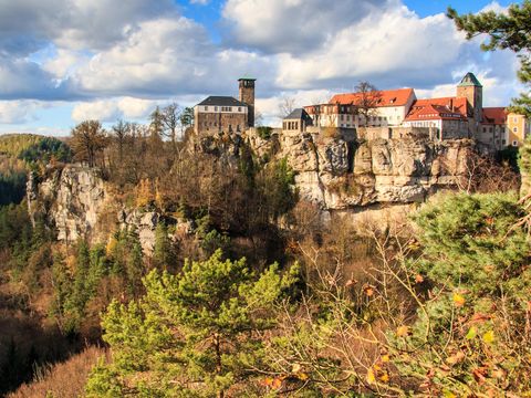 Burg Hohnstein auf einem bewaldeten Felsen bei blauem Himmel im Sonnenlicht.