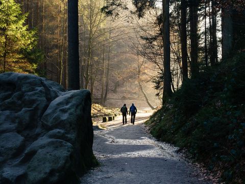 Amselgrund im Winter