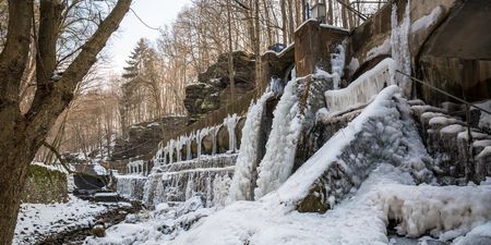 Eisige Wasserfälle fließen über Felsen, umgeben von schneebedeckten Bäumen.