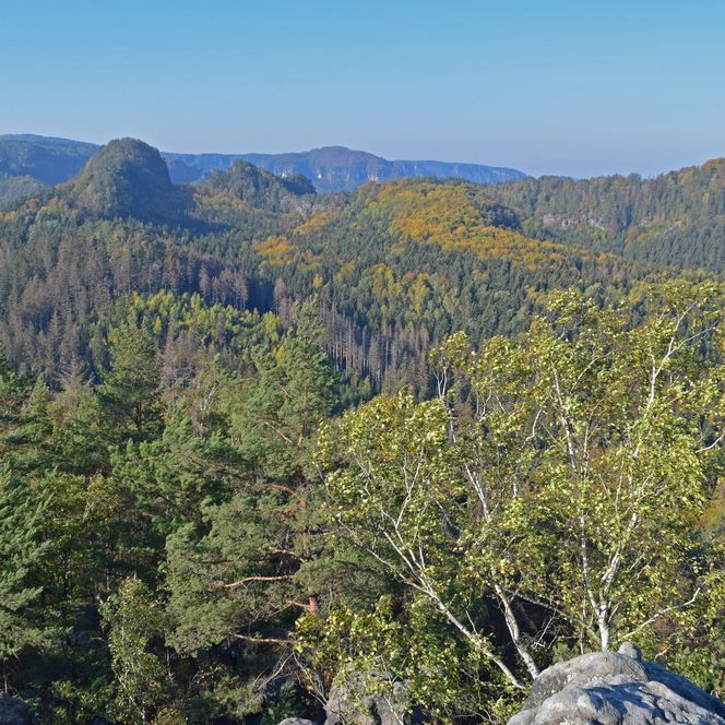 Blick auf eine bewaldete Felsenlandschaft mit sanften Hügeln und klarem Himmel.