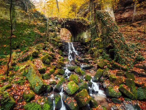 Baerengarten Hohnstein, dichtes Laub und Bäume, Bach der unter kleiner Brücke durch fließt.