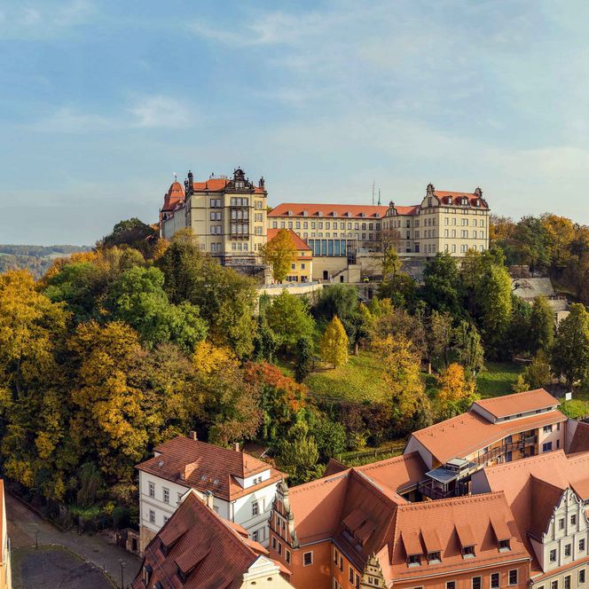 Blick auf eine Schloss Sonnenstein auf einem Hügel, umgeben von Bäumen und historischen Gebäuden.