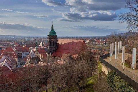 Schloss Sonnenstein über Stadt Pirna, von Bäumen umgeben, unter blauem Himmel.