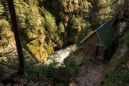 Blick auf einen schmalen Weg entlang eines Flusses, umgeben von dichtem, grünem Wald.
