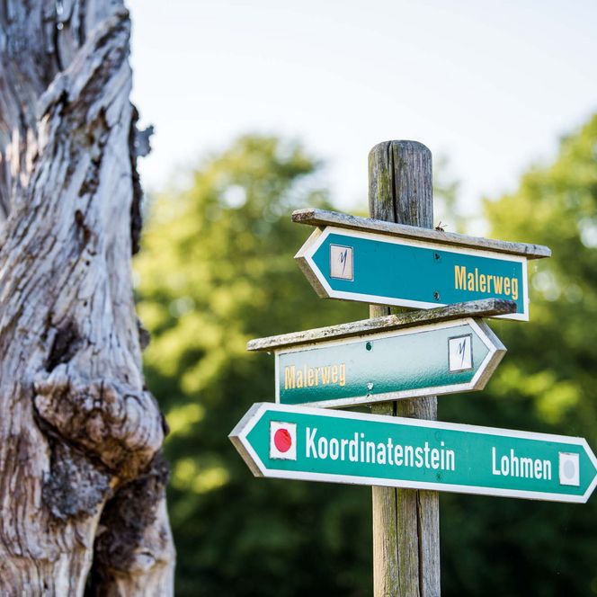 Wegweiser mit drei Pfeilen.