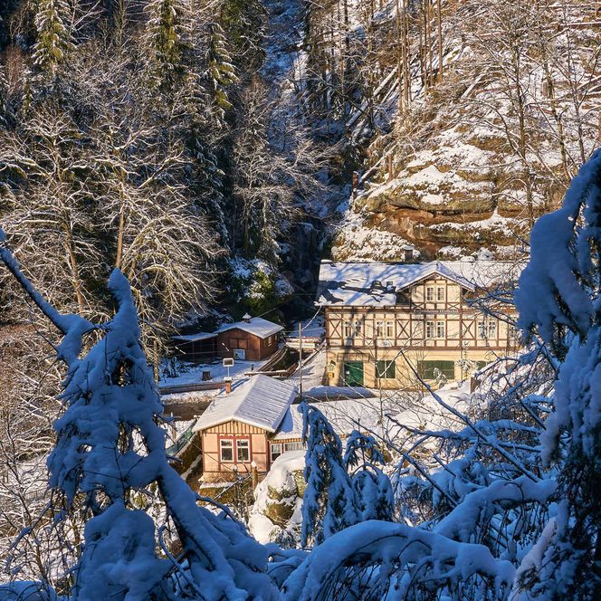 Schneebedeckte Landschaft mit einem Holzhaus und umgebenden Bäumen im Winter.