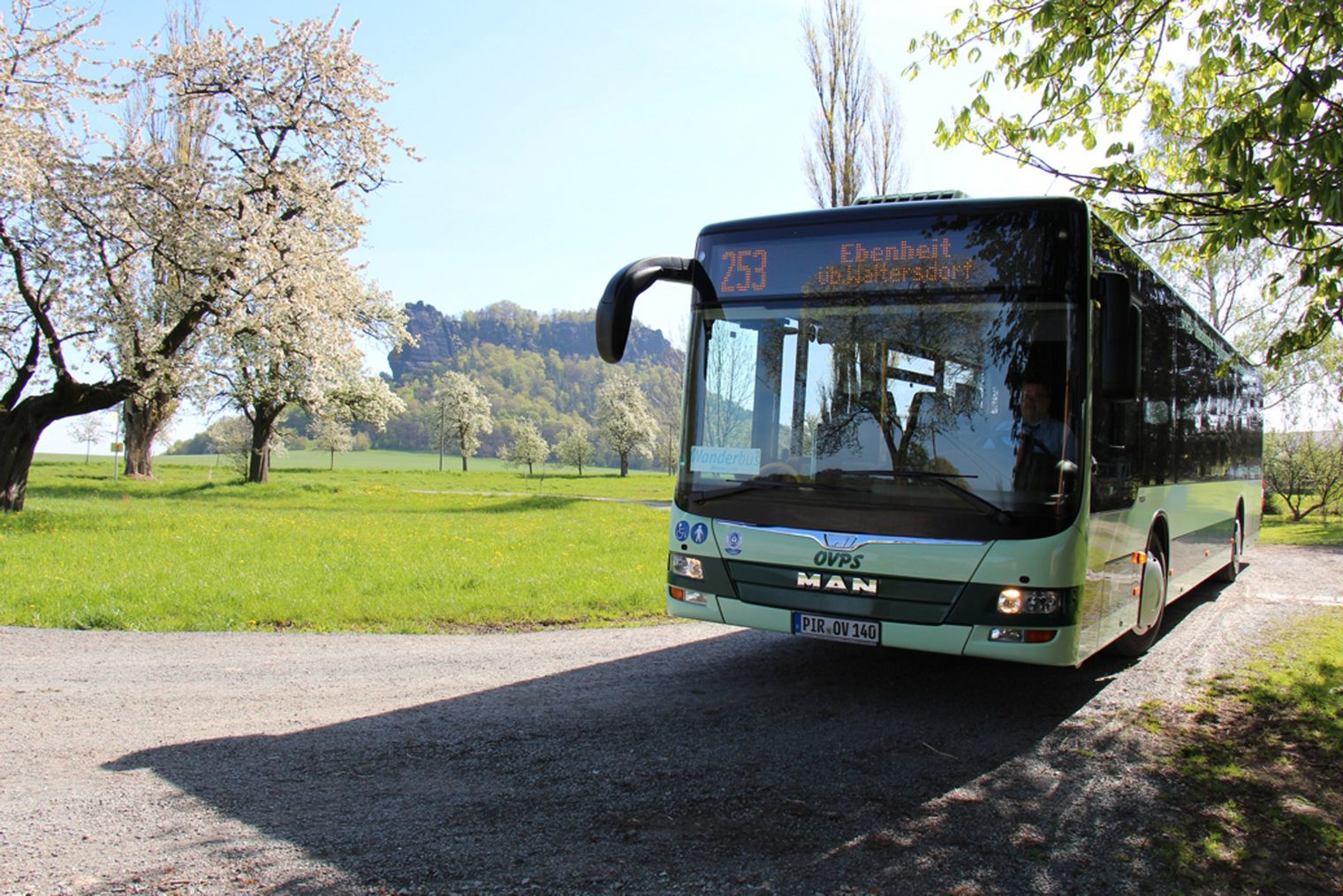 Ein grüner WanderBus fährt auf einer Landstraße, umgeben von Bäumen und Wiesen.