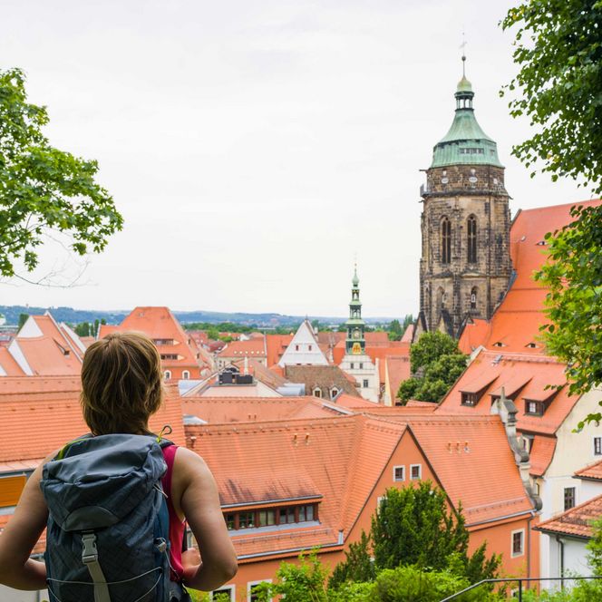 Wanderer mit Rucksack blickt auf die Stadt Pirna mit roten Dächern und einem hohen Kirchturm im Hintergrund.
