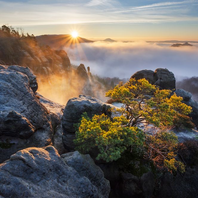 Sonnenaufgang über nebligen Bergen, mit Felsen und grünen Pflanzen im Vordergrund.