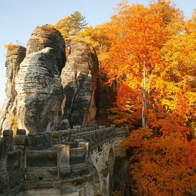 Steinerne Bastei-Brücke neben großen Felsen von bunten Herbstbäumen umgeben. 