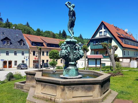 Steinbrunnen mit Relief, Wasserspeiern und verzierter Säule, umgeben von Häusern des Marktplatz Bad Gottleuba