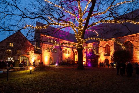 Beleuchteter Innenhof mit einem großen Baum und festlicher Beleuchtung bei Dämmerung.