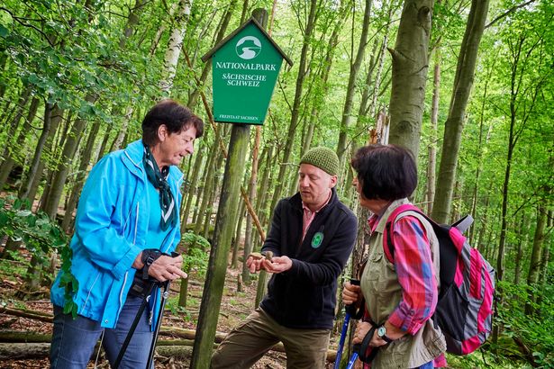 Nationalparkführer mit Gästen im Wald bei Führung.
