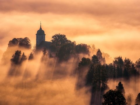 Blick vom Gohrisch auf Papstdorf