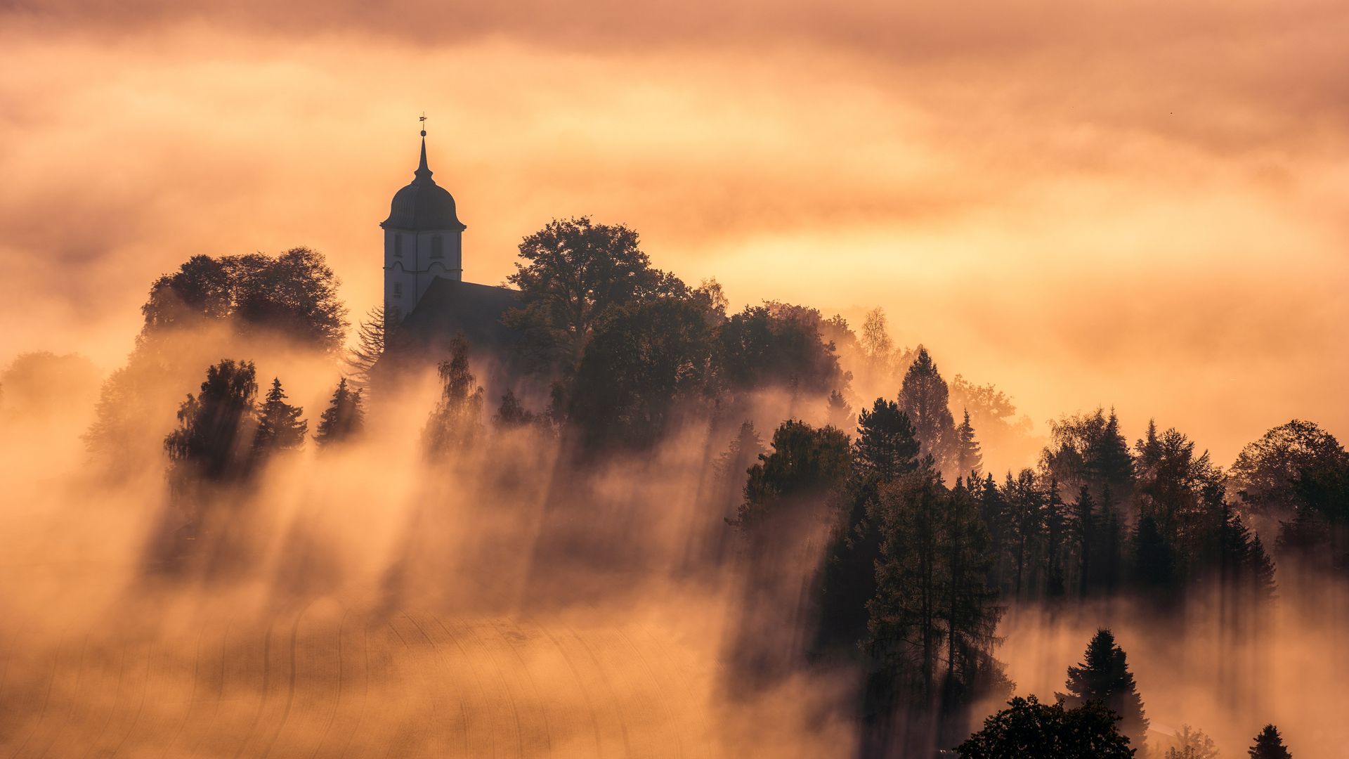 Blick vom Gohrisch auf Papstdorf