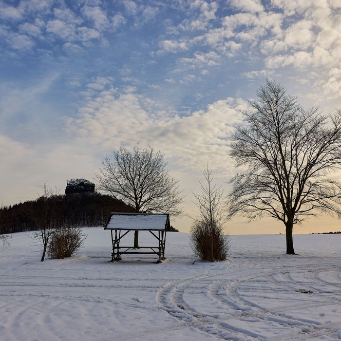 Schneebedeckte Landschaft mit Bäumen und einer Bank, im Hintergrund eine Hügelkette unter einem bewölkten Himmel.