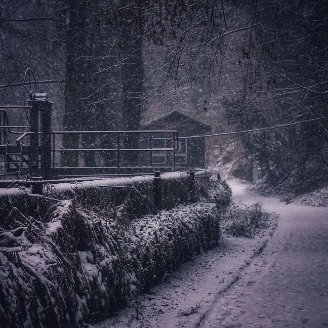Flockenwirbel im Wesenitztal