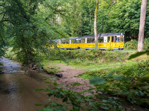 Gelbe historische Straßenbahn fährt durch grünen Wald mit Gleisen zwischen Bäumen.