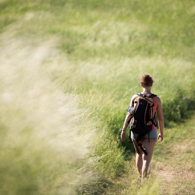 Person mit Rucksack geht einen schmalen Weg durch hohes, grünes Gras.