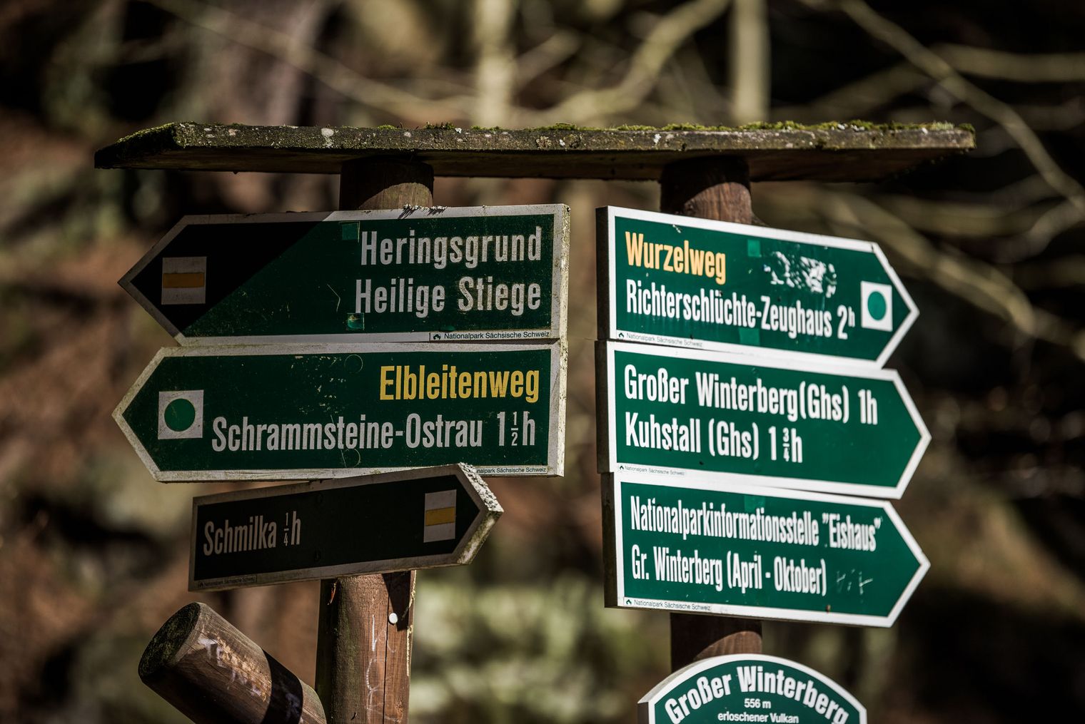 Wegweiser mit verschiedenen Routen und Entfernungen in einem Wald.
