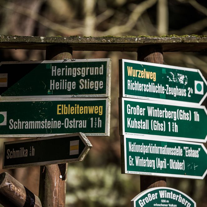 Wegweiser mit verschiedenen Routen und Entfernungen in einem Wald.